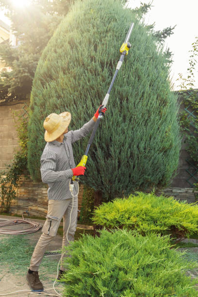  , USA Tree Care Services Pros